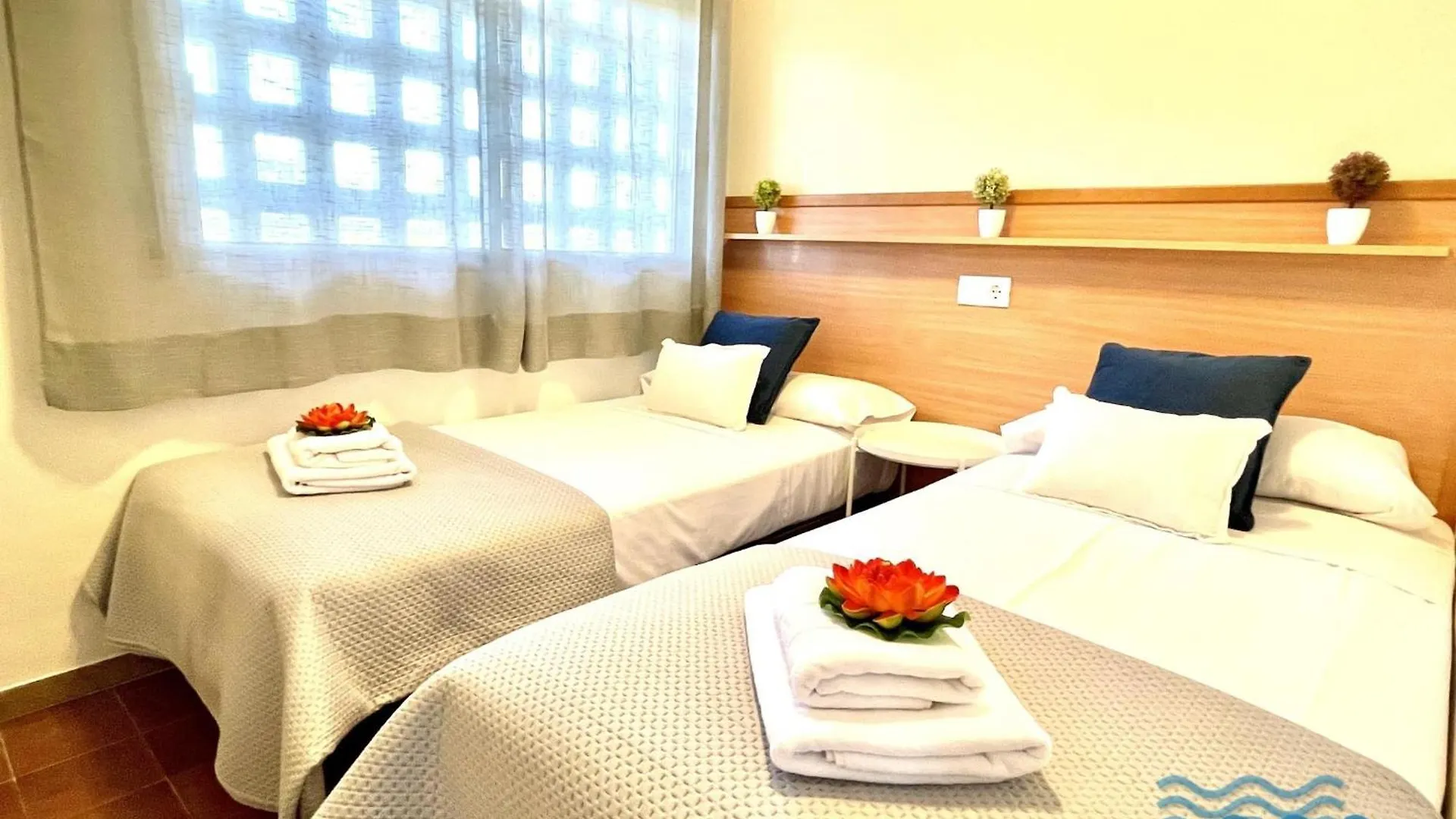 萨洛Apartbeach Sol Y Playa 245 Climatizado Vistas Piscina公寓 0*, 萨洛 西班牙